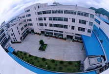 ѹ�����������